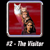 The Visitor