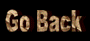 Back.gif (2501 bytes)